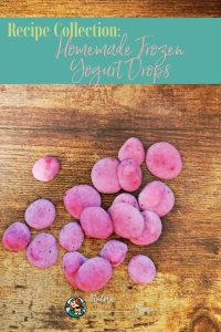 Homemade Frozen Yogurt Drops |