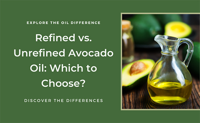 Which One Should You Use?